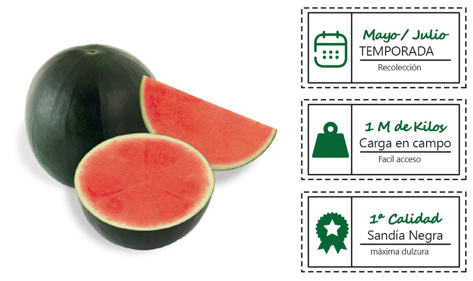 Sandia negra sin pepitas
